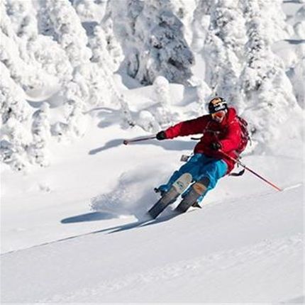 länk till skidor